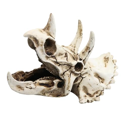 DIKACA Dinosaurier Schädel Terrarium Dekoration aus Harz Triceratops Kopf Ornament für Aquarien Natürliche und Versteck für Fische und Reptilien von DIKACA