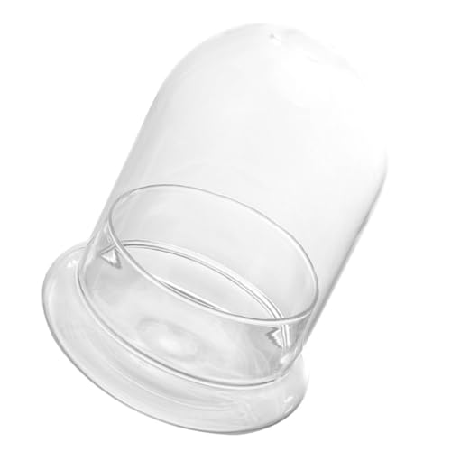 DIKACA Eco-Flasche Sukkulenten Anlage große Vase Inhaber Gartenglocke Landschaftsbehälter Schreibtisch-Terrarium ökologische Mikrolandschaftsflasche Glocke Kuppel Glas DIKACA Eco-Flasche Sukkulenten Anlage große Vase Inhaber Gartenglocke Landschaftsbehälter Schreibtisch-Terrarium ökologische Mikrolandschaftsflasche Glocke Kuppel Glas von DIKACA