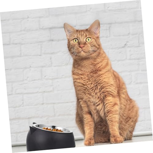 DIKACA Edelstahl Haustiernapf mit Rutschfester Basis Fassungsvermögen Schräger für Nackenschutz Langlebiger für Katzen und Hunde Leicht zu Reinigen und Auslaufsicher von DIKACA