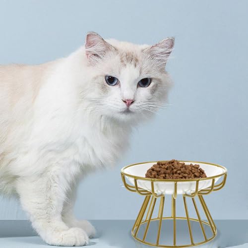 DIKACA Erhöhter Keramik Katzennapf mit Metallständer Anti erbrechen Futternapf für Katzen und Kätzchen Rutschfestes Design Stabile Fressschale für Komfortables Füttern und Trinkspaß von DIKACA