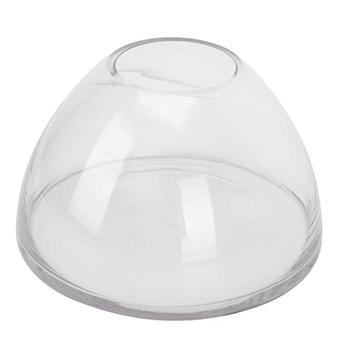 DIKACA Glaslandschaftsflasche Für Moos Und Pflanzen Ökologische Borosilikatglas Flasche Für Terrarien Halbkugel Design Höhe von DIKACA
