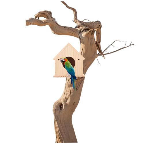 DIKACA Holz Nistkasten für Wellensittiche und Conures Stabile Brutbox aus Massivem Holz Sicherer Vogelbrutplatz und Niststätte für Papageien Stilvolles Vogelhaus für Innenräume von DIKACA