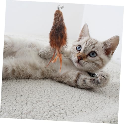 DIKACA Katzenspielzeug Nachfüllset mit Insektenform Interaktives Kätzchenspielzeug für Indoor Katzen Austauschbare Katzenangel Ersatzteile Belebende Katzenspielzeug Anhänger für Kätzchen DIKACA Katzenspielzeug Nachfüllset mit Insektenform Interaktives Kätzchenspielzeug für Indoor Katzen Austauschbare Katzenangel Ersatzteile Belebende Katzenspielzeug Anhänger für Kätzchen von DIKACA