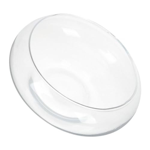DIKACA Glasfarbe Blumentopf Für Sukkulenten Klarer Pflanztopf Für Kleine Pflanzen Dekorativer Blumenbehälter Wasserpflanze Behälter Für Fische Und Pflanzen Durchmesser von DIKACA