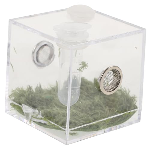 DIKACA Klares Terrarium für Spinnen und Kleine Reptilien Transparente Fütterungsbox mit Temperaturmesser Geeignet für Springspinnen Grillen und Insektenhaltung DIKACA Klares Terrarium für Spinnen und Kleine Reptilien Transparente Fütterungsbox mit Temperaturmesser Geeignet für Springspinnen Grillen und Insektenhaltung von DIKACA