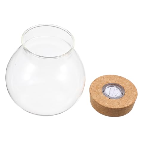 DIKACA LED Ökologische Glasflasche mit LED Licht DIY Aquarium Flaschengarten Klare Sicht Glatte Oberfläche Kreative Mikro Landschaft für Wohnraumdekoration von DIKACA