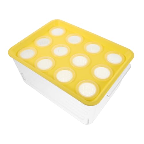 DIKACA Mini Aquaponik Fischbecken mit Deckel Platzsparendes Hydroponik System für Betta Fische und Pflanzen Kleines Fischglas für Innenräume Modernes Desktop Aquarium für Zimmerdekoration von DIKACA