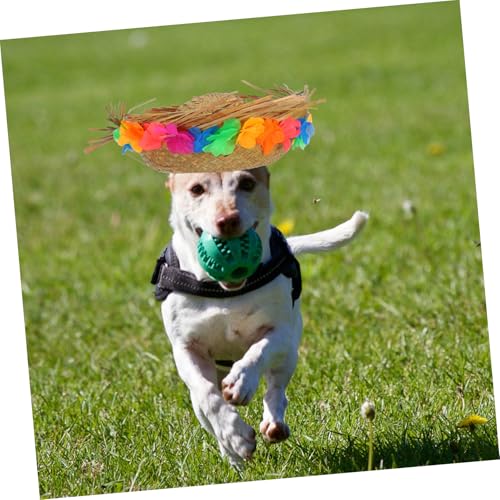 DIKACA Mini Strohhut für Kleine Hunde Modischer Leichter Sonnenschutz mit Dekorativer Blume Langlebig und Wiederverwendbar für Partys Cosplay Fotoshootings und Sommerliche Outdoor von DIKACA