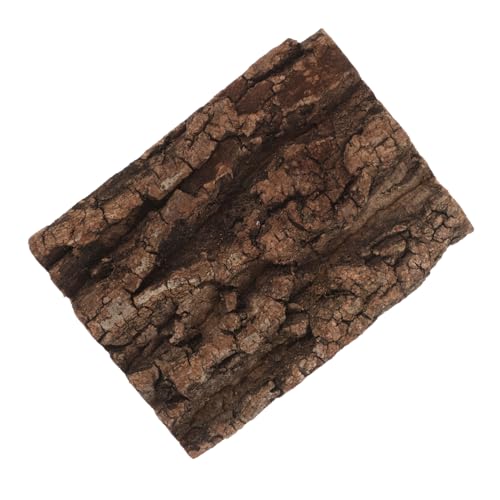 DIKACA Natürlicher Korkbaumrinden Hintergrund Terrarium Rückwand für Reptilien Kletterwand Dekoration Terrarienzubehör für Gecko Chamäleon und Spinne DIKACA Natürlicher Korkbaumrinden Hintergrund Terrarium Rückwand für Reptilien Kletterwand Dekoration Terrarienzubehör für Gecko Chamäleon und Spinne von DIKACA