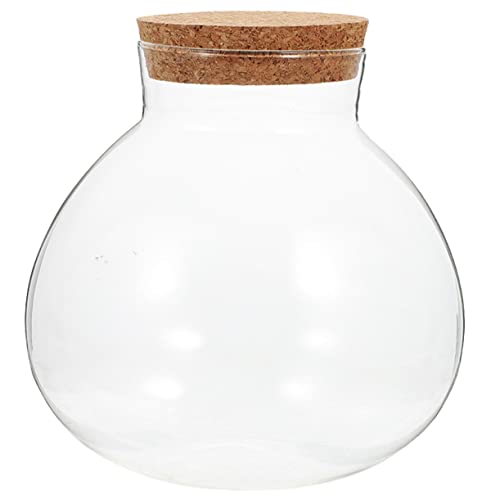 DIKACA Öko Flasche Moos Mikro Landschaftsflasche Pflanzgefäß Pflanzgefäß Selbstbewässernd Kleines Gefäß Mit Deckel Wiederverwendbare Mini Flaschen Mini Glasflasche Kleines DIKACA Öko Flasche Moos Mikro Landschaftsflasche Pflanzgefäß Pflanzgefäß Selbstbewässernd Kleines Gefäß Mit Deckel Wiederverwendbare Mini Flaschen Mini Glasflasche Kleines von DIKACA