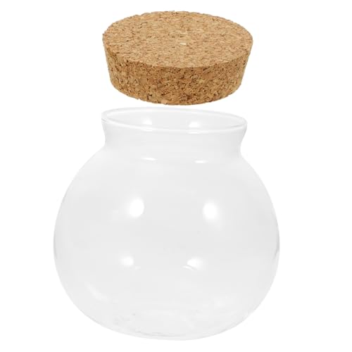 DIKACA Öko-flaschenornamente Landschaft Flasche Deckel Luftpflanzen Moos Ökologische Flasche Mikro-landschaftsflasche Micro-landschafts-DIY-Flasche Anlage Vase Klein Glas DIKACA Öko-flaschenornamente Landschaft Flasche Deckel Luftpflanzen Moos Ökologische Flasche Mikro-landschaftsflasche Micro-landschafts-DIY-Flasche Anlage Vase Klein Glas von DIKACA