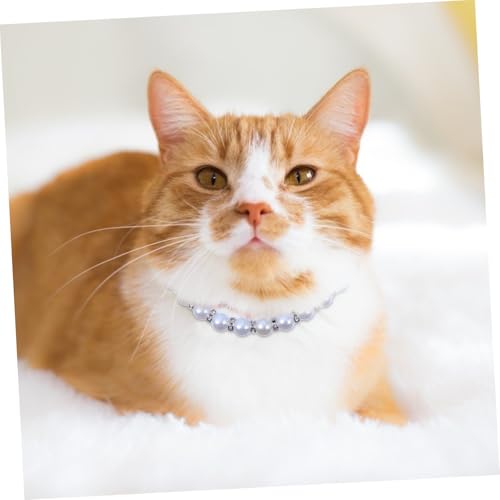 DIKACA Perlen hundehalsband Verstellbar Schmuckhalsband für Haustiere Weiße Elegante Katzen hochzeitskette Modisches Perlen Accessoire Geeignet für Alltag und Festliche Anlässe von DIKACA
