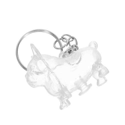 DIKACA Pet Hair Keepsake Schlüsselanhänger Kompakte Gedenkbox zur Aufbewahrung von Hunde Katzenhaaren Nachfüllbar Sentimentales Schmuckstück für Haustierfreunde Praktischer Begleiter für von DIKACA