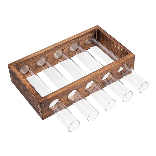 DIKACA Reagenzglasvase Test Tube Pflanzvase Für Hydrokultur Pflanzenbehälter Für Dekorative Pflanzen Für Wohnzimmer Und Deko DIKACA Reagenzglasvase Test Tube Pflanzvase Für Hydrokultur Pflanzenbehälter Für Dekorative Pflanzen Für Wohnzimmer Und Deko von DIKACA