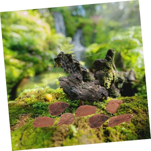 DIKACA Reptilien Rinden einstreu Kiefernrinde Chips Terrarium Dekoration Robust Wasserfreundlich für Schildkröten Eidechsen Landschildkröten Gehege Zubehör von DIKACA