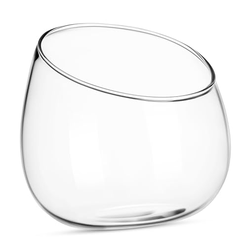 DIKACA Runder Glasblumentopf mit Schräger Öffnung Terrarium Schale für Sukkulenten und Moos Vielseitig Einsetzbar für Innenräume und Tischdekoration DIKACA Runder Glasblumentopf mit Schräger Öffnung Terrarium Schale für Sukkulenten und Moos Vielseitig Einsetzbar für Innenräume und Tischdekoration von DIKACA