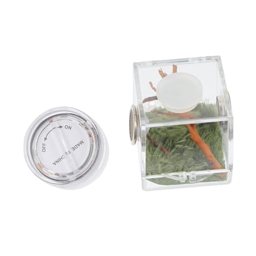 DIKACA Springendes Spinnengehege mit Lampe Feuchtigkeitsresistente Terrarienbox für Kleine Spinnen und Insekten Luftdurchlässiger Zuchtträger Einfach zu Reinigen für Springspinnen und DIKACA Springendes Spinnengehege mit Lampe Feuchtigkeitsresistente Terrarienbox für Kleine Spinnen und Insekten Luftdurchlässiger Zuchtträger Einfach zu Reinigen für Springspinnen und von DIKACA