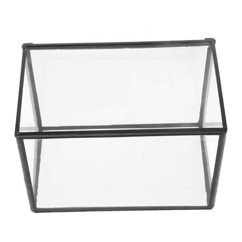 DIKACA Sukkulente Utensilien Mikro-landschafts-DIY-Halter Leeres Terrarium DIY-Terrarium Landschaftsbehälter Pflanzenetui Ökosystem Terrarium Saftiges Terrarium Transparent Glas DIKACA Sukkulente Utensilien Mikro-landschafts-DIY-Halter Leeres Terrarium DIY-Terrarium Landschaftsbehälter Pflanzenetui Ökosystem Terrarium Saftiges Terrarium Transparent Glas von DIKACA