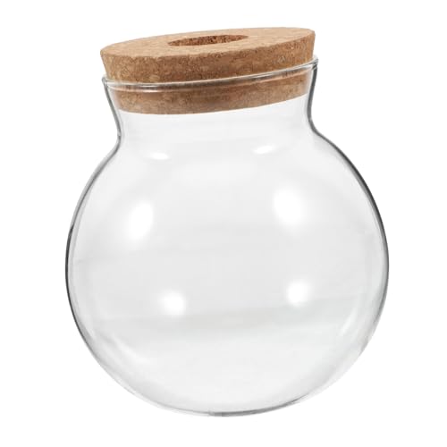 DIKACA Terrarium mit Korkdeckel Transparentes Pflanzgefäß für Moos Sukkulenten und Luftpflanzen Vielseitige Dekoration für Lochöffnung DIKACA Terrarium mit Korkdeckel Transparentes Pflanzgefäß für Moos Sukkulenten und Luftpflanzen Vielseitige Dekoration für Lochöffnung von DIKACA