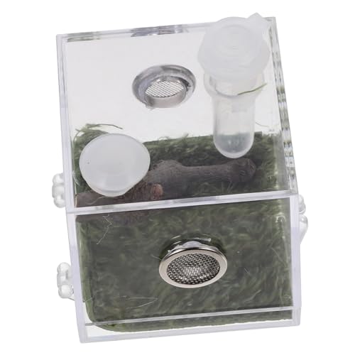 DIKACA Transparente Acryl Aufzuchtbox für Kleine Reptilien und Spinnen Stabile Fütterungsbox mit Klarem Sichtfenster Vielseitig Geeignet für Taranteln Eidechsen Schnecken als DIKACA Transparente Acryl Aufzuchtbox für Kleine Reptilien und Spinnen Stabile Fütterungsbox mit Klarem Sichtfenster Vielseitig Geeignet für Taranteln Eidechsen Schnecken als von DIKACA