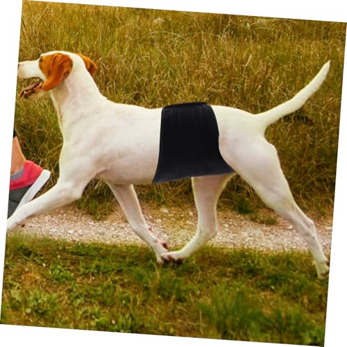 DIKACA wasserdichte Wiederverwendbare Hundewindel mit Saugfähiger Bequemer Schnitt für Langes Tragen Atmungsaktiver für Drinnen und Welpen Schwarz DIKACA wasserdichte Wiederverwendbare Hundewindel mit Saugfähiger Bequemer Schnitt für Langes Tragen Atmungsaktiver für Drinnen und Welpen Schwarz von DIKACA