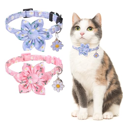 DILLYBUD Breakaway Katzenhalsbänder für Mädchen, Jungen, Katzen, 2 Stück, niedliches Kätzchen-Halsband mit Glöckchen und Blumen, sicherheitsverstellbar, für weibliche und männliche Kätzchen, Welpen, DILLYBUD Breakaway Katzenhalsbänder für Mädchen, Jungen, Katzen, 2 Stück, niedliches Kätzchen-Halsband mit Glöckchen und Blumen, sicherheitsverstellbar, für weibliche und männliche Kätzchen, Welpen, von DILLYBUD