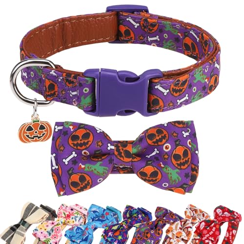 DILLYBUD Halloween-Hundehalsband mit Fliege für kleine, mittelgroße Hunde, verstellbar, abnehmbar, mit Sicherheitsschnalle, für Welpen, Jungen, Mädchen, orangefarbenes Geister-Kürbis-Design DILLYBUD Halloween-Hundehalsband mit Fliege für kleine, mittelgroße Hunde, verstellbar, abnehmbar, mit Sicherheitsschnalle, für Welpen, Jungen, Mädchen, orangefarbenes Geister-Kürbis-Design von DILLYBUD