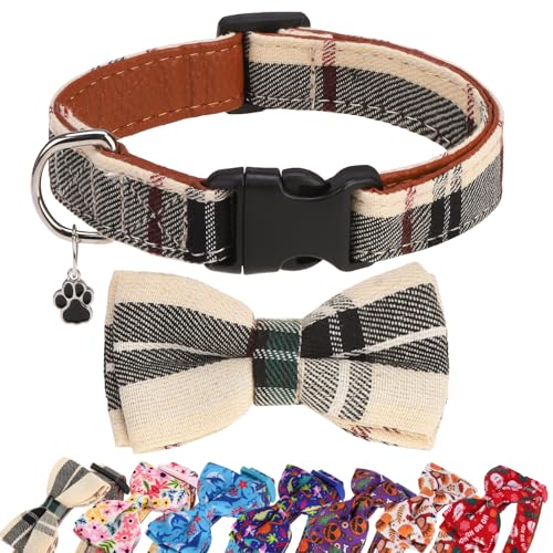 DILLYBUD Hundehalsbänder für kleine, mittelgroße und große Hunde mit Fliege, verstellbar, niedliches Hundehalsband für Mädchen, Jungen, mit Charm, weiches Leder, für Welpen, Frühling und Sommer, Beige DILLYBUD Hundehalsbänder für kleine, mittelgroße und große Hunde mit Fliege, verstellbar, niedliches Hundehalsband für Mädchen, Jungen, mit Charm, weiches Leder, für Welpen, Frühling und Sommer, Beige von DILLYBUD