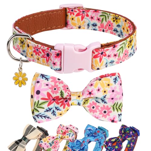 DILLYBUD Hundehalsbänder für kleine, mittelgroße und große Hunde mit Fliege, verstellbar, niedliches Hundehalsband für Mädchen, Jungen, mit Charm, weiches Leder, für Welpen, Frühling und Sommer DILLYBUD Hundehalsbänder für kleine, mittelgroße und große Hunde mit Fliege, verstellbar, niedliches Hundehalsband für Mädchen, Jungen, mit Charm, weiches Leder, für Welpen, Frühling und Sommer von DILLYBUD