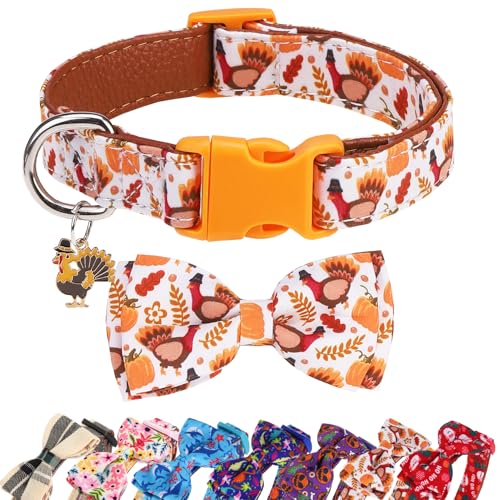 DILLYBUD Hundehalsband mit Fliege für kleine, mittelgroße und große Hunde – verstellbare, abnehmbare Fliege, Sommerhalsband mit Sicherheitsschnalle für Welpen, Jungen, Mädchen, Haustier-Halsumfang DILLYBUD Hundehalsband mit Fliege für kleine, mittelgroße und große Hunde – verstellbare, abnehmbare Fliege, Sommerhalsband mit Sicherheitsschnalle für Welpen, Jungen, Mädchen, Haustier-Halsumfang von DILLYBUD