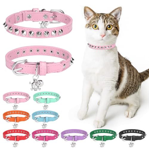 DILLYBUD Lederhalsband für Katzen mit Glocke und elastischem Sicherheitsgurt, personalisierte Nieten, verstellbare Sicherheitsschnalle mit Totenkopf-Anhänger für kleine Katzen DILLYBUD Lederhalsband für Katzen mit Glocke und elastischem Sicherheitsgurt, personalisierte Nieten, verstellbare Sicherheitsschnalle mit Totenkopf-Anhänger für kleine Katzen von DILLYBUD