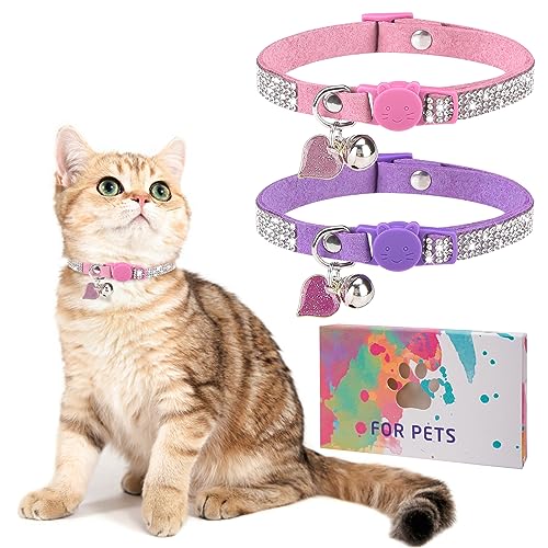 DILLYBUD Strass-Katzenhalsband mit Glöckchen, Diamant-Katzenhalsband mit Sicherheitsschnalle, Schnellverschluss, für Mädchen, Jungen, kleine Kätzchen, Haustiere, Welpen, niedlich, weich, für weibliche DILLYBUD Strass-Katzenhalsband mit Glöckchen, Diamant-Katzenhalsband mit Sicherheitsschnalle, Schnellverschluss, für Mädchen, Jungen, kleine Kätzchen, Haustiere, Welpen, niedlich, weich, für weibliche von DILLYBUD