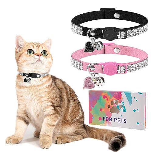 DILLYBUD Strass-Katzenhalsband mit Glöckchen, Diamant-Katzenhalsband mit Sicherheitsschnalle, Schnellverschluss, für Mädchen, Jungen, kleine Kätzchen, Haustiere, Welpen, niedlich, weich, für weibliche DILLYBUD Strass-Katzenhalsband mit Glöckchen, Diamant-Katzenhalsband mit Sicherheitsschnalle, Schnellverschluss, für Mädchen, Jungen, kleine Kätzchen, Haustiere, Welpen, niedlich, weich, für weibliche von DILLYBUD