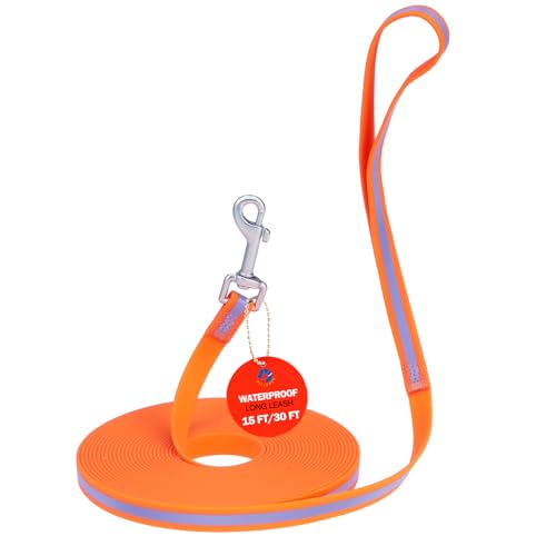 DILLYBUD Wasserdichte, lange Hundeleine für Hunde, Außentraining, 4,5 m, strapazierfähig, reflektierend, lange Hundeleine mit Griff für große und mittelgroße Hunde, Outdoor-Rückruf, Wandern, Camping DILLYBUD Wasserdichte, lange Hundeleine für Hunde, Außentraining, 4,5 m, strapazierfähig, reflektierend, lange Hundeleine mit Griff für große und mittelgroße Hunde, Outdoor-Rückruf, Wandern, Camping von DILLYBUD