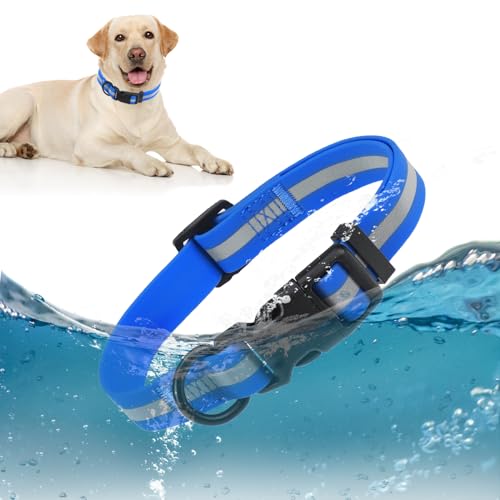 DILLYBUD Wasserdichtes Hundehalsband, weiches Gummi mit Sicherheitsschnalle, verstellbare Hundehalsbänder für große, kleine, mittelgroße Hunde, Welpen, strapazierfähig, geruchsabweisend, reflektierend DILLYBUD Wasserdichtes Hundehalsband, weiches Gummi mit Sicherheitsschnalle, verstellbare Hundehalsbänder für große, kleine, mittelgroße Hunde, Welpen, strapazierfähig, geruchsabweisend, reflektierend von DILLYBUD