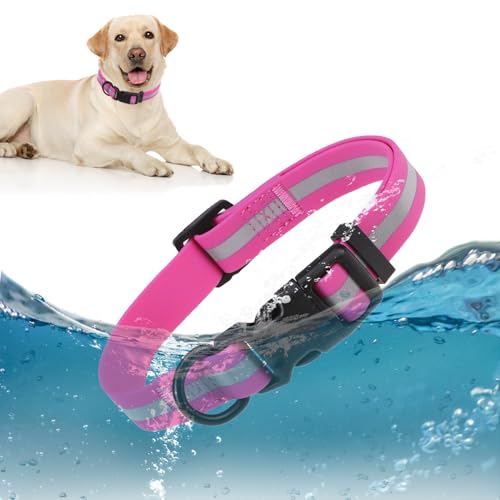 DILLYBUD Wasserdichtes Hundehalsband, weiches Gummi mit Sicherheitsschnalle, verstellbare Hundehalsbänder für große, kleine, mittelgroße Hunde, Welpen, strapazierfähig, geruchsabweisend, reflektierend DILLYBUD Wasserdichtes Hundehalsband, weiches Gummi mit Sicherheitsschnalle, verstellbare Hundehalsbänder für große, kleine, mittelgroße Hunde, Welpen, strapazierfähig, geruchsabweisend, reflektierend von DILLYBUD