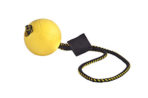 DINGO GEAR WWW.DINGOGEAR.COM 1977 Magnetset für das Hundetraining: eingefasster Magnet und Magnetgriff Gummiball von DINGO GEAR WWW.DINGOGEAR.COM 1977