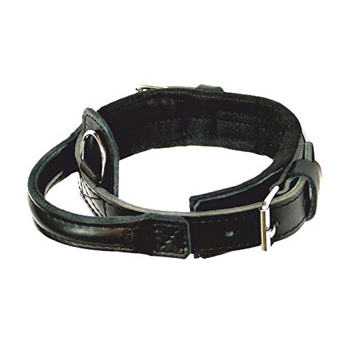 Dingo Gear Hundehalsband Heros aus Leder Große 40-52 cm handgefertigt, starker Griff, verstellbar,Schwarz S04010 von DINGO GEAR WWW.DINGOGEAR.COM 1977