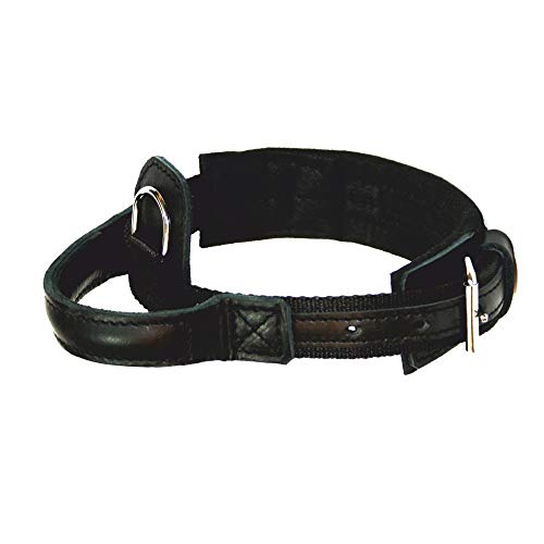 Dingo Gear Hundehalsband Heros aus Band Große 40-52 cm handgefertigt, starker Griff, verstellbar,Schwarz S04012 Dingo Gear Hundehalsband Heros aus Band Große 40-52 cm handgefertigt, starker Griff, verstellbar,Schwarz S04012 von DINGO GEAR WWW.DINGOGEAR.COM 1977