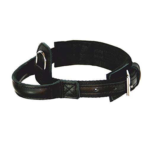 Dingo Gear Hundehalsband Heros aus Band Große 40-52 cm handgefertigt, starker Griff, verstellbar,Schwarz S04012 von DINGO GEAR WWW.DINGOGEAR.COM 1977