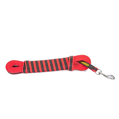 Dingo Gear Arbeitsleine,Gurtband Polypropylene ohne Griff Schwarz-Rot Länge 10,5 m Breite 2,0 cm wasserfest Training große stark Hunde S03622 Dingo Gear Arbeitsleine,Gurtband Polypropylene ohne Griff Schwarz-Rot Länge 10,5 m Breite 2,0 cm wasserfest Training große stark Hunde S03622 von DINGO GEAR WWW.DINGOGEAR.COM 1977