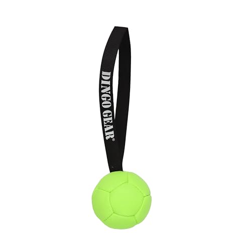 Dingo Gear Ball mit Schlaufe gefüllt vollball aus Eco Leder Durchmesser von 8 cm Hundespielzeug Trainings Ball Hundetraining Spaß für Hund Grün Neon S02685 Dingo Gear Ball mit Schlaufe gefüllt vollball aus Eco Leder Durchmesser von 8 cm Hundespielzeug Trainings Ball Hundetraining Spaß für Hund Grün Neon S02685 von DINGO GEAR WWW.DINGOGEAR.COM 1977