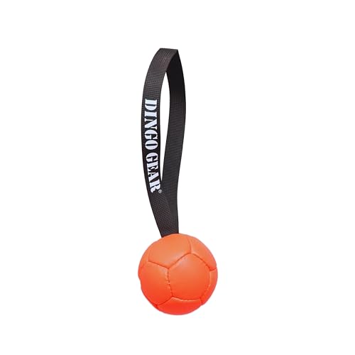 Dingo Gear Ball mit Schlaufe gefüllt vollball aus Eco Leder Durchmesser von 8 cm Hundespielzeug Trainings Ball Hundetraining Spaß für Hund Orange S02684 Dingo Gear Ball mit Schlaufe gefüllt vollball aus Eco Leder Durchmesser von 8 cm Hundespielzeug Trainings Ball Hundetraining Spaß für Hund Orange S02684 von DINGO GEAR WWW.DINGOGEAR.COM 1977