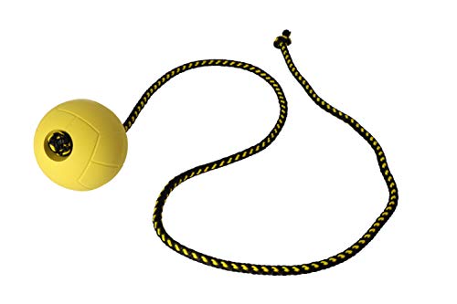 Dingo Gear Ball für Training # 70 mm auf Seil 100 cm schwimmed Ball weich Gummiball Farbe Gelb apport Spiel mit Hund S02700 von DINGO GEAR WWW.DINGOGEAR.COM 1977
