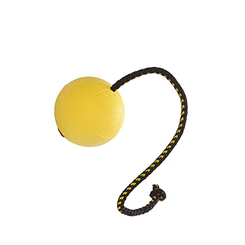 Dingo Gear Ball für Training # 70 mm auf Seil 30 cm schwimmed Ball weich Gummiball Farbe Gelb apport Spiel mit Hund S02703 von DINGO GEAR WWW.DINGOGEAR.COM 1977