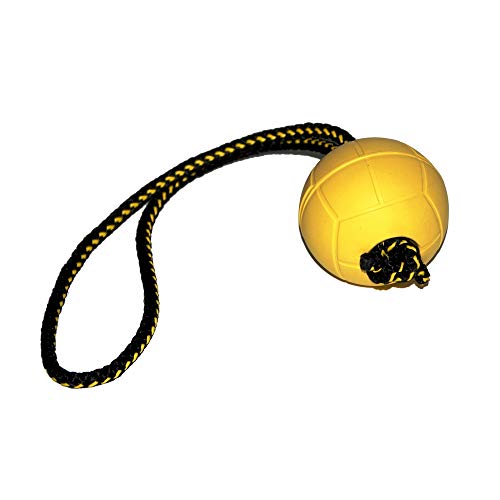 Dingo Gear Ball für Training # 70 mm mit Griff 30 cm schwimmed Ball weich Gummiball Farbe Gelb apport Spiel mit Hund S02701 von DINGO GEAR WWW.DINGOGEAR.COM 1977