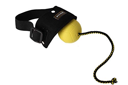 Dingo Gear Ball für Training schwimmed Ball weich Gummiball Farbe Gelb apport Spiel mit Hund Ausbildung (Set Ballhalter+ Bäll # 70 mm Seil 30 cm) von DINGO GEAR WWW.DINGOGEAR.COM 1977