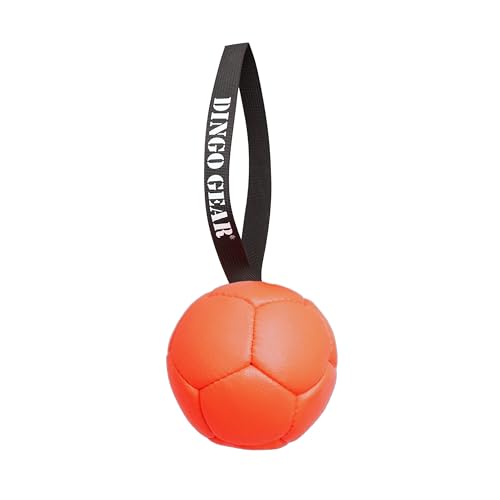 Dingo Gear Ball mit Schlaufe gefüllt vollball aus Eco Leder Durchmesser von 13 cm Hundespielzeug Trainings Bäll Hundetraining Spaß für Hund Orange S02696 Dingo Gear Ball mit Schlaufe gefüllt vollball aus Eco Leder Durchmesser von 13 cm Hundespielzeug Trainings Bäll Hundetraining Spaß für Hund Orange S02696 von DINGO GEAR WWW.DINGOGEAR.COM 1977