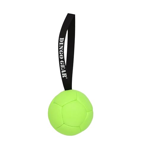 Dingo Gear Ball mit Schlaufe gefüllt vollball aus Eco Leder Durchmesser von 13 cm Hundespielzeug Trainings Ball Hundetraining Spaß für Hund Grün Neon S02697 Dingo Gear Ball mit Schlaufe gefüllt vollball aus Eco Leder Durchmesser von 13 cm Hundespielzeug Trainings Ball Hundetraining Spaß für Hund Grün Neon S02697 von DINGO GEAR WWW.DINGOGEAR.COM 1977