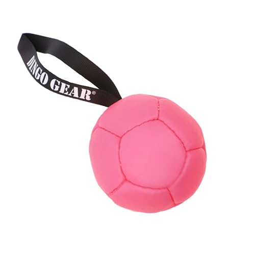 Dingo Gear Ball mit Schlaufe gefüllt vollball aus Eco Leder Durchmesser von 13 cm Hundespielzeug Trainings Ball Hundetraining Spaß für Hund Rosa S02682 Dingo Gear Ball mit Schlaufe gefüllt vollball aus Eco Leder Durchmesser von 13 cm Hundespielzeug Trainings Ball Hundetraining Spaß für Hund Rosa S02682 von DINGO GEAR WWW.DINGOGEAR.COM 1977